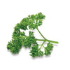 Parsley