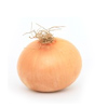 Onion